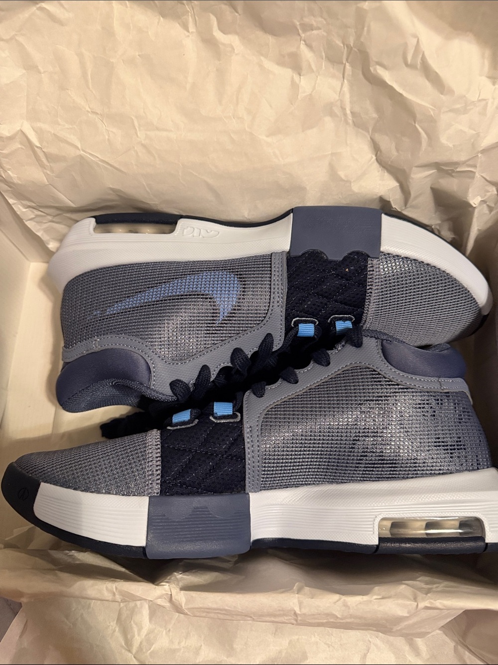 Nike LeBron Witness VIII Men’s Gray & Navy Blue Sneakers